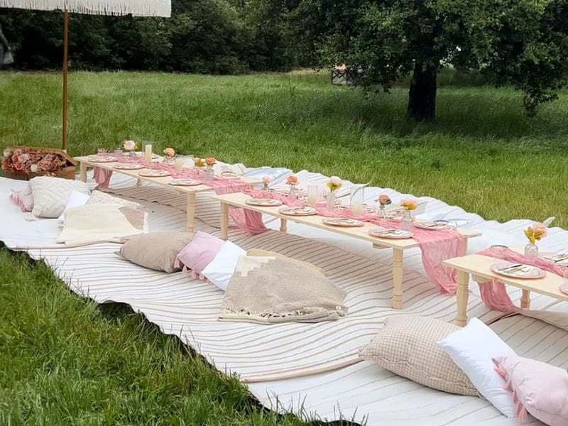 Picnic / table dining